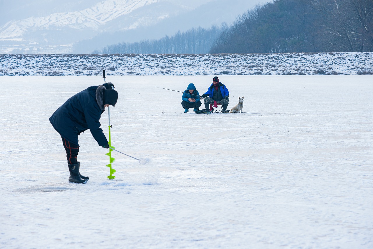 Guided Tours: Feature Various Fishing Tour Operators, Their Services, And…