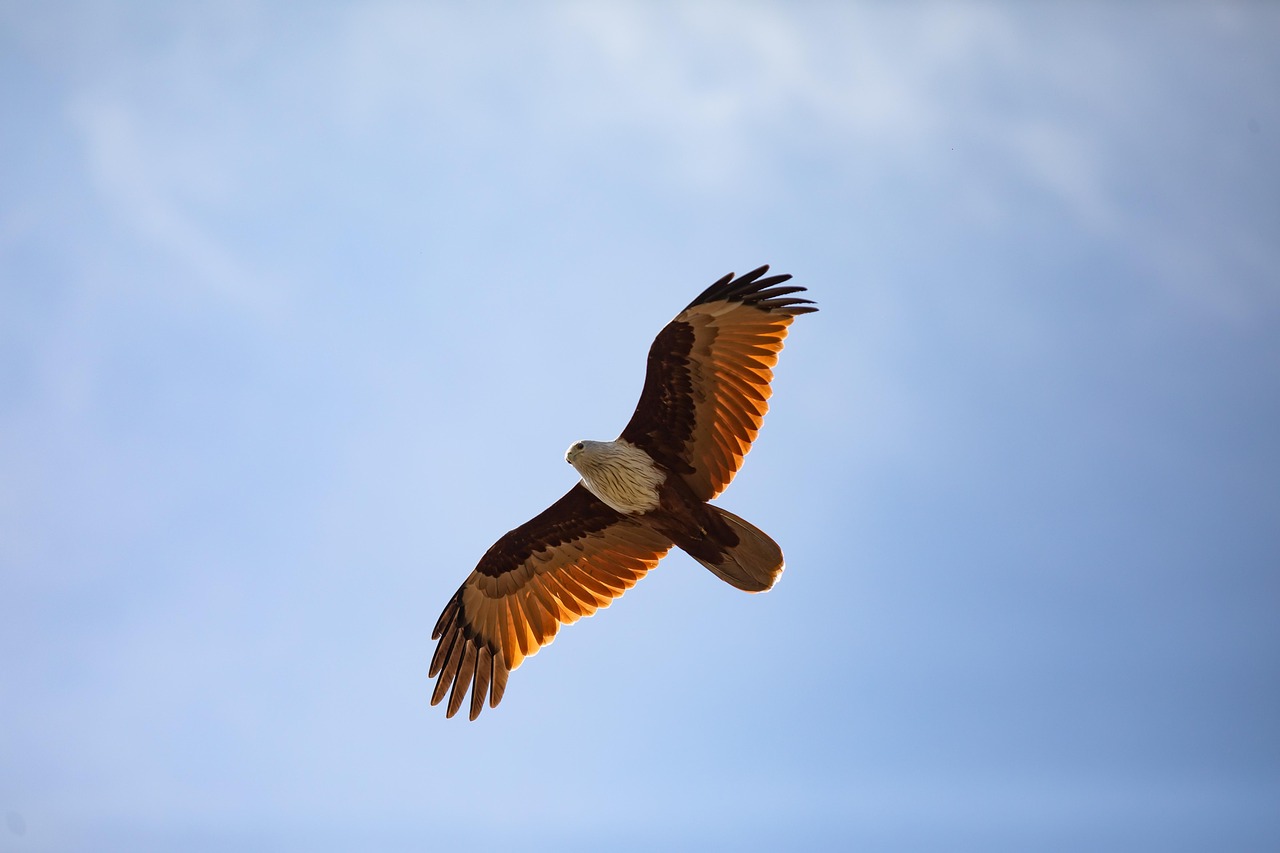 Wildlife And Scenery In Valdez | Get Hooked On Alaska…
