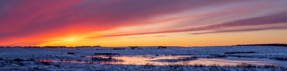 Alaskan Fishing Tours