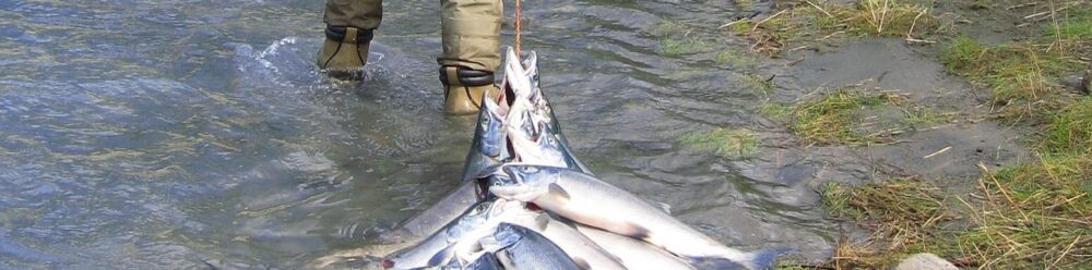 Alaskan Fishing Tours