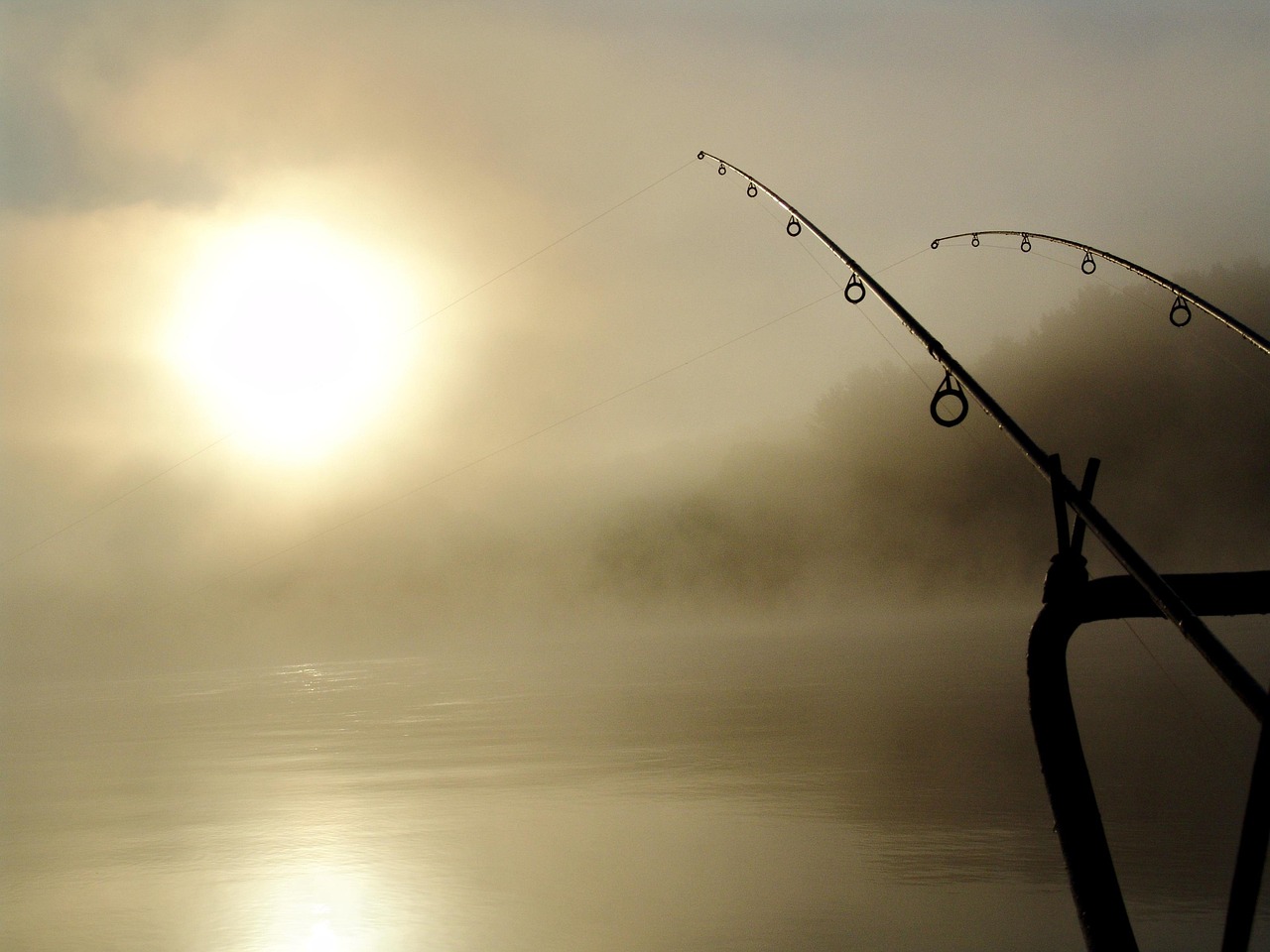 Alaskan Fishing Tours – Reel In The Adventure Of A…