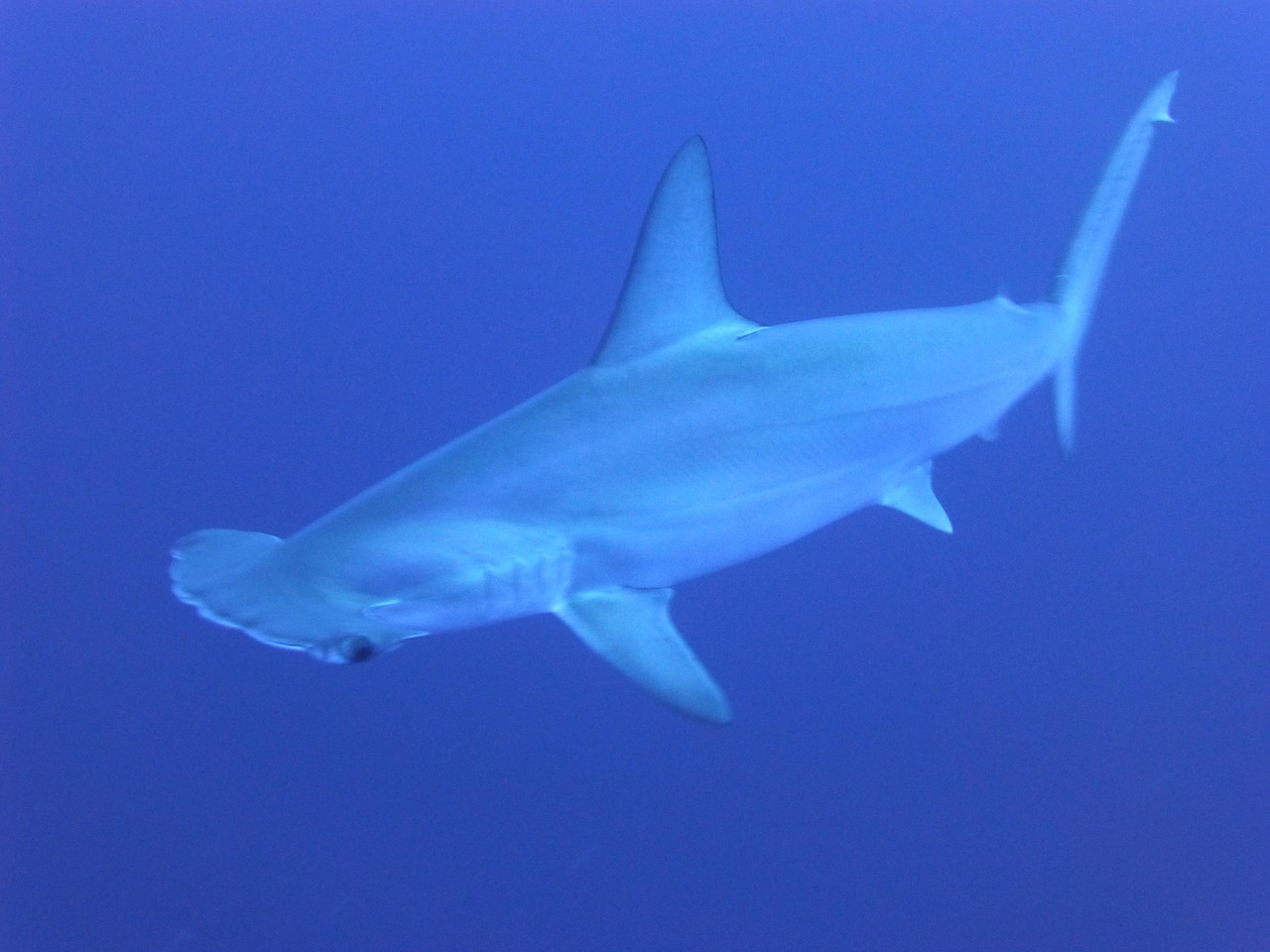 Deep-sea Fishing Valdez » Reel In Adventure: Alaska Fishing In…