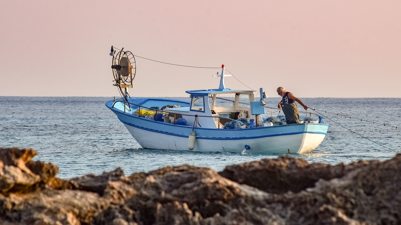 Fishing Techniques: Offer Tips And Guides On Different Fishing Methods,…