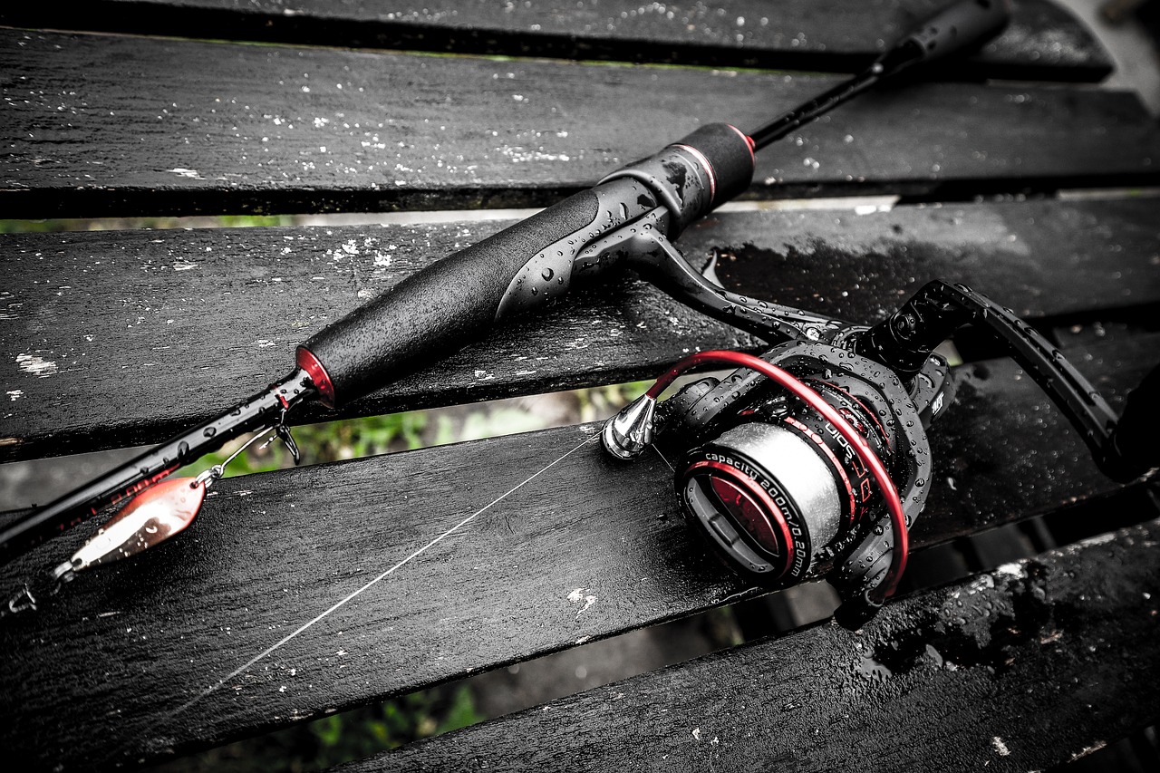 Guide To Fishing In Prince William Sound / Dive Into…