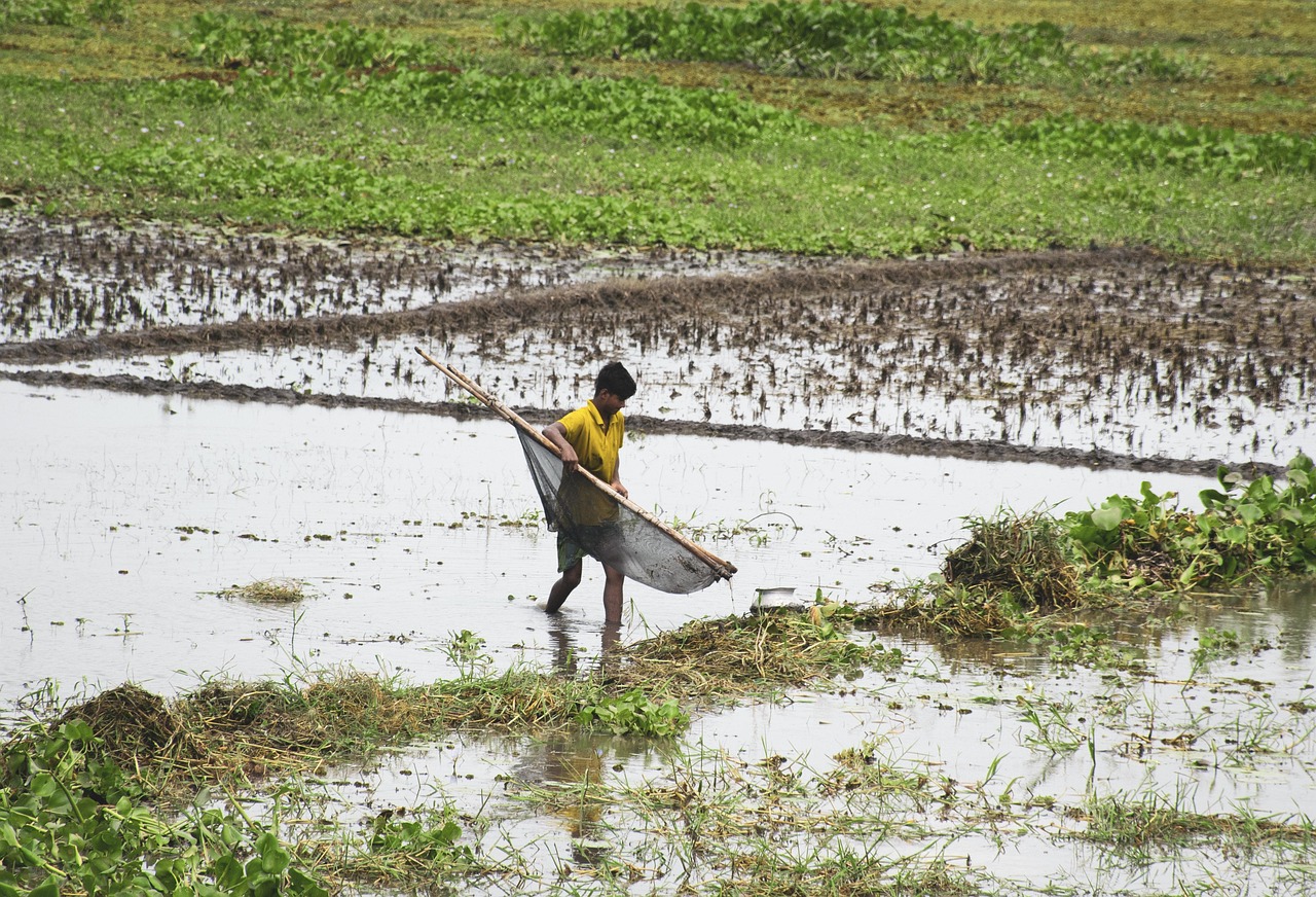 Guided Tours: Feature Various Fishing Tour Operators, Their Services, And…