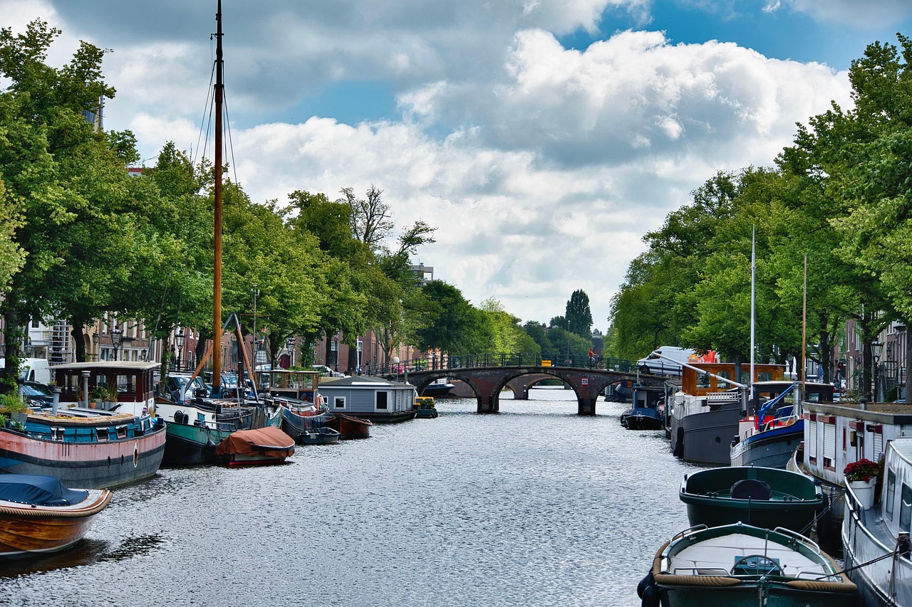 Local Culture And Events: Feature Local Festivals, Events, And Cultural…