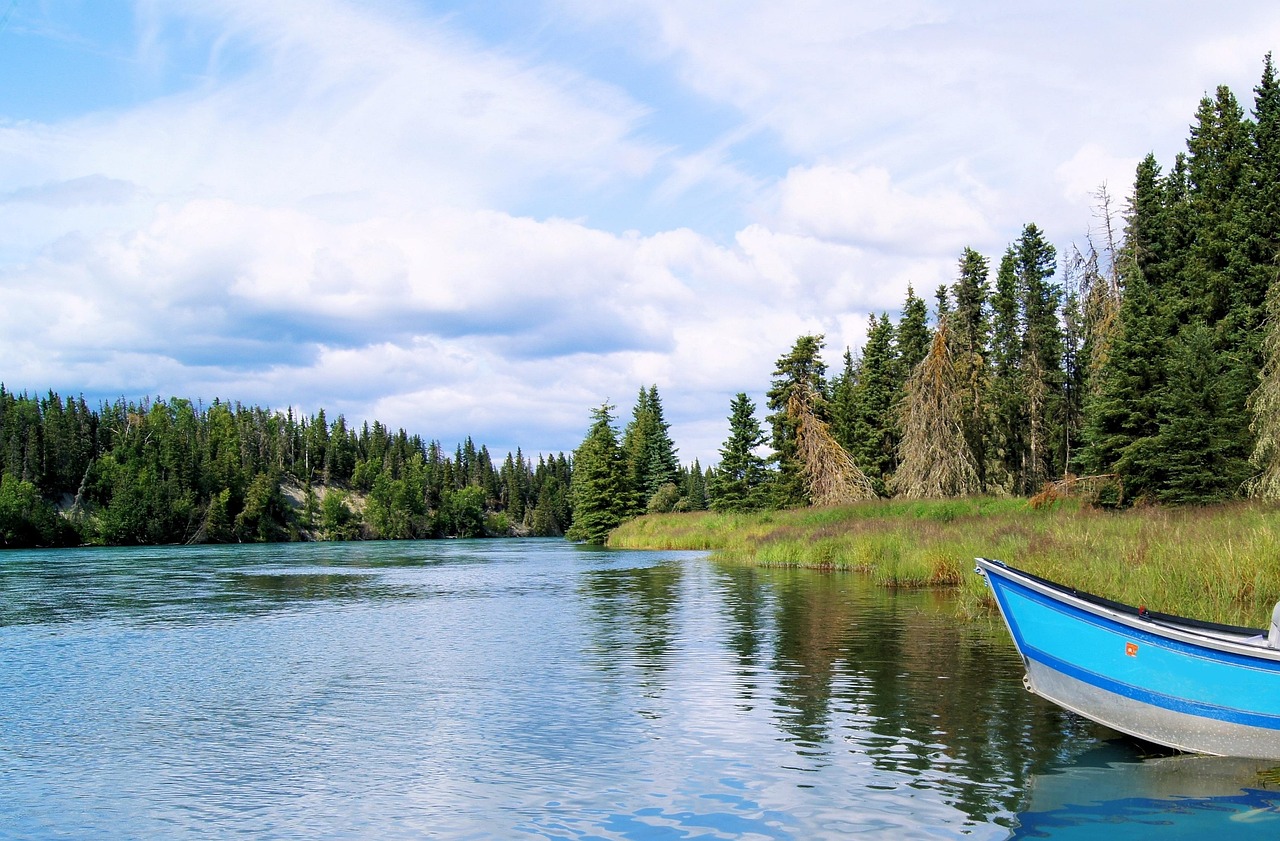 Local Regulations: Provide Information On Fishing Licenses, Permits, And Local…