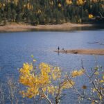 Seasonal-Fishing:-Discuss-the-best-times-of-year-for-fishing-different-species-and-the-seasonal-variations-in-fishing-conditions._and_Fishing-Tips-and-Tricks