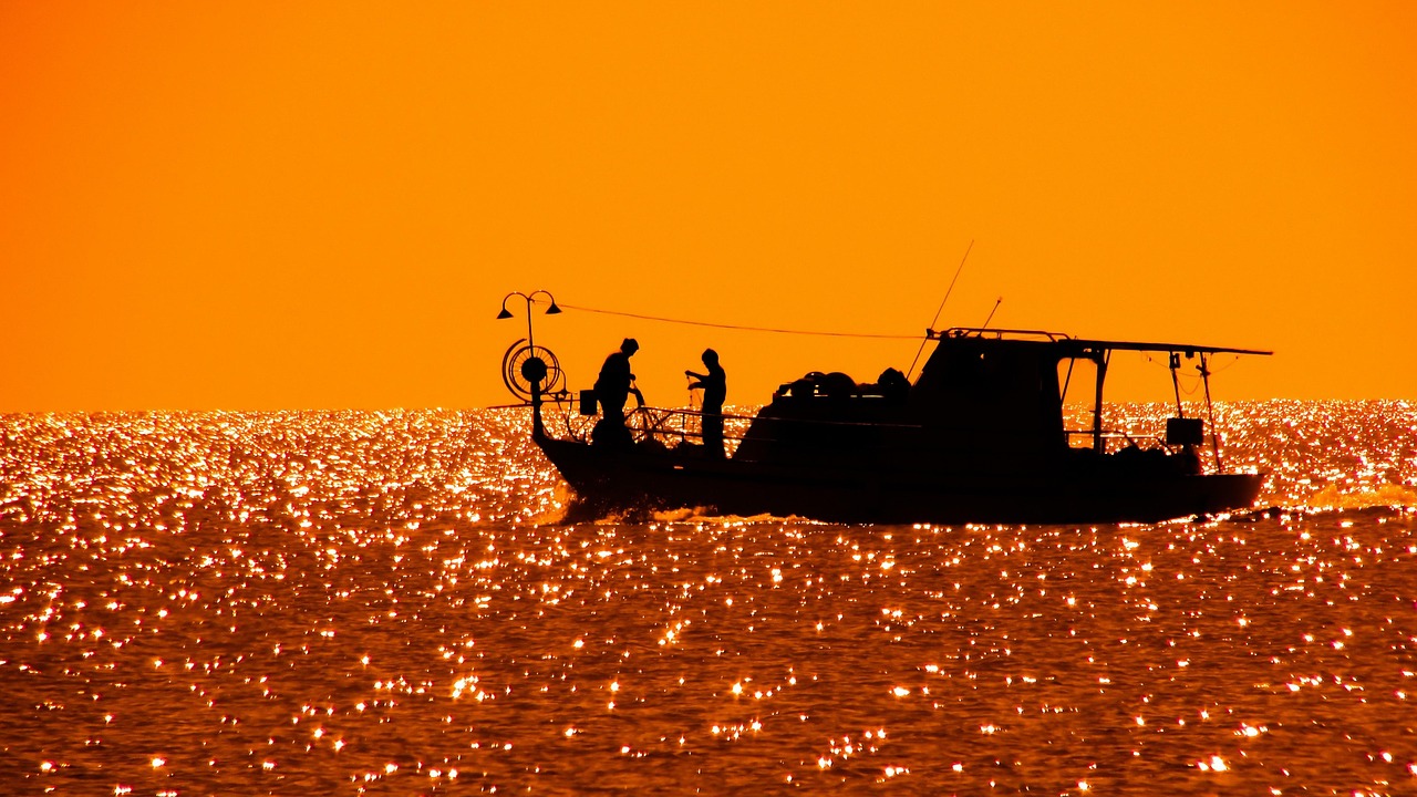 Seasonal Fishing In Valdez / Reel In The Big One:…