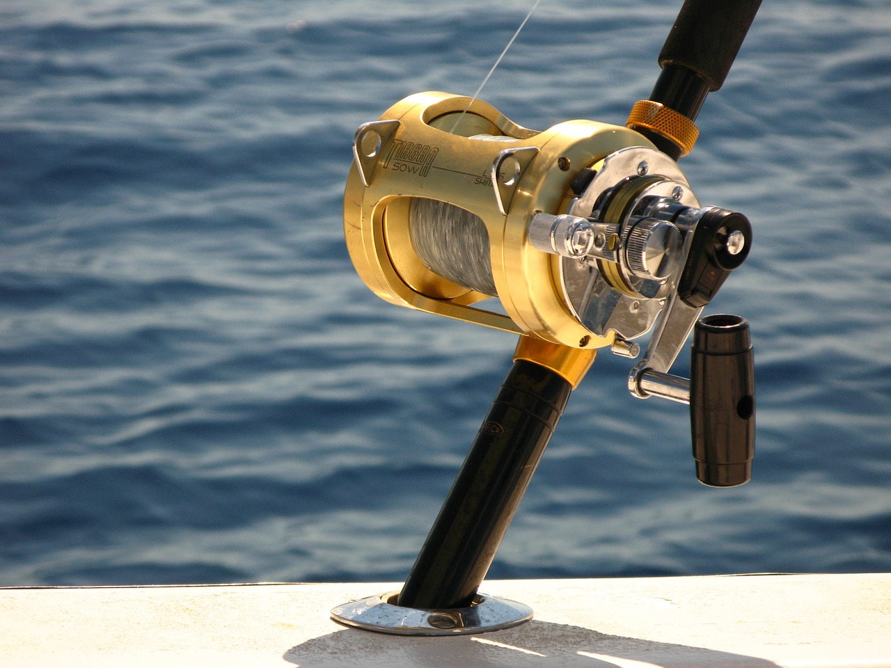 Valdez Fishing Derbies And Events » Casting A Line In…