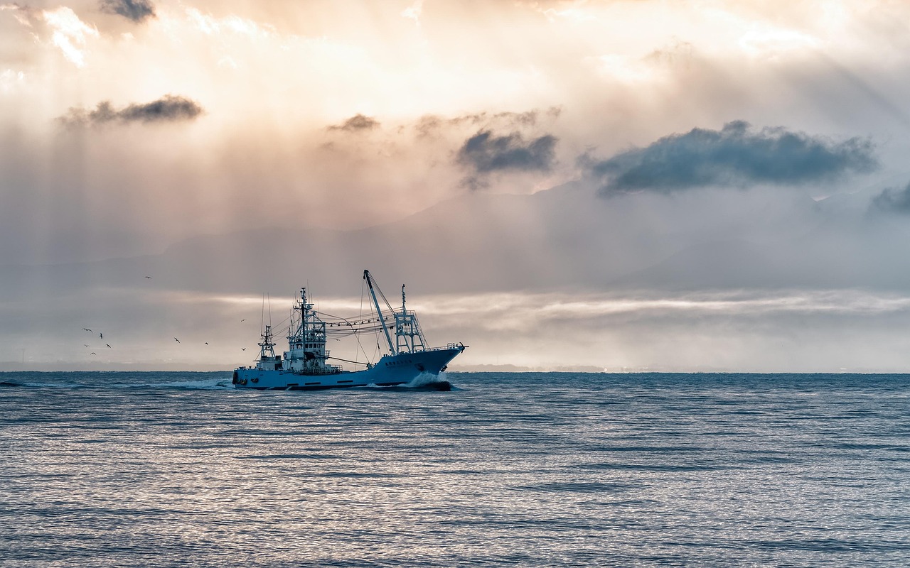 Valdez Fishing Derbies / Get Hooked On Alaska Fishing Adventures…