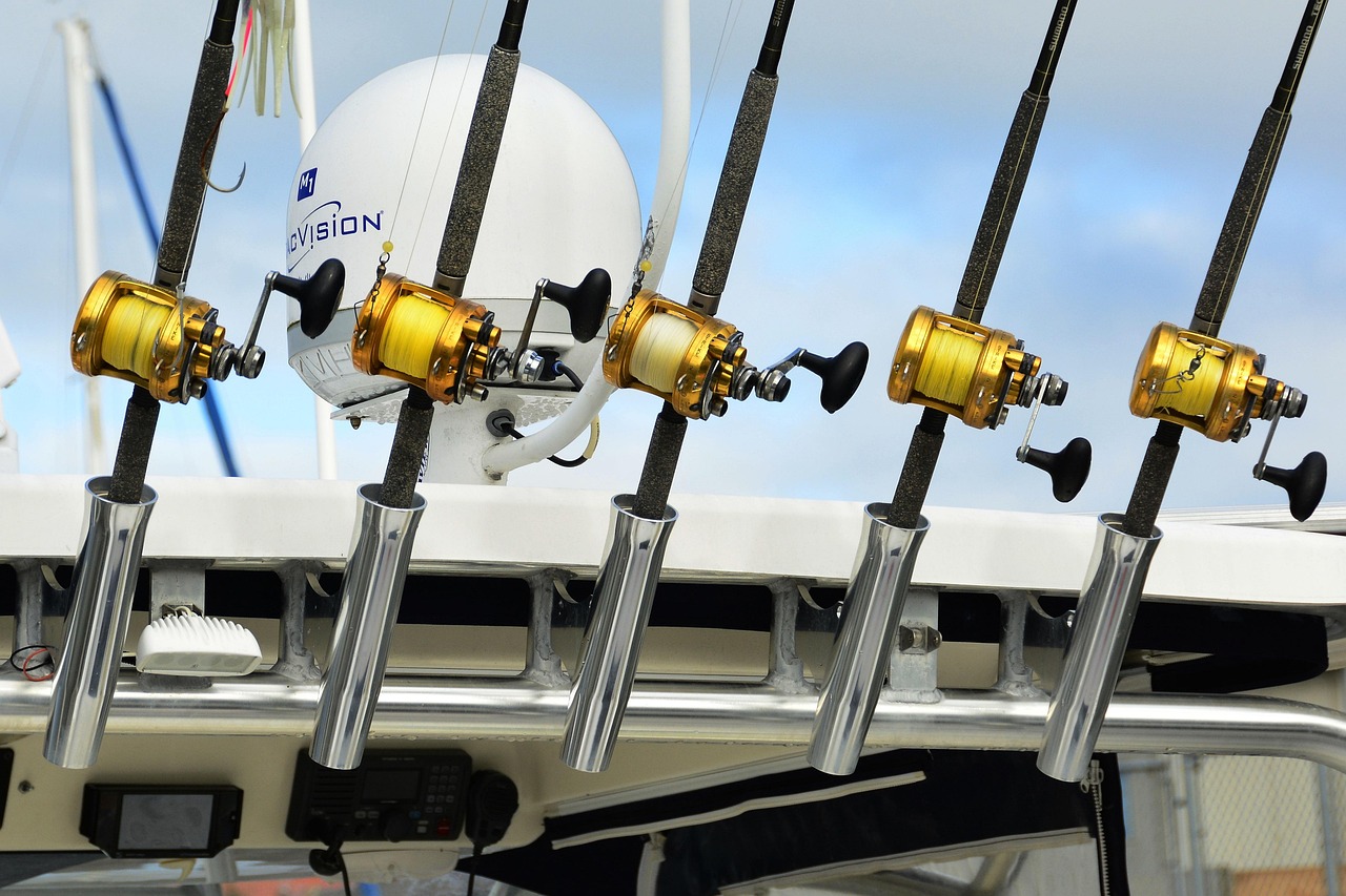 Valdez Fishing: Cast Your Line In Alaska’s Wild Beauty! TL;DR:…