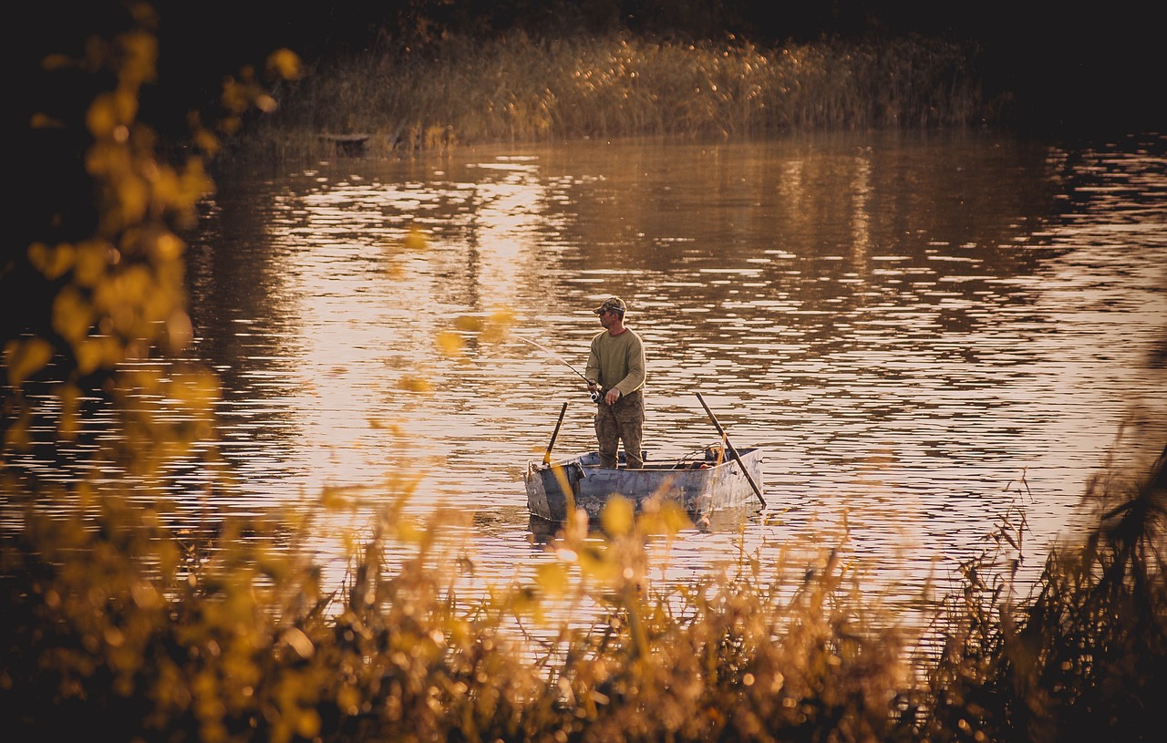 Wildlife And Nature: Highlight The Beautiful Landscapes And Wildlife That…