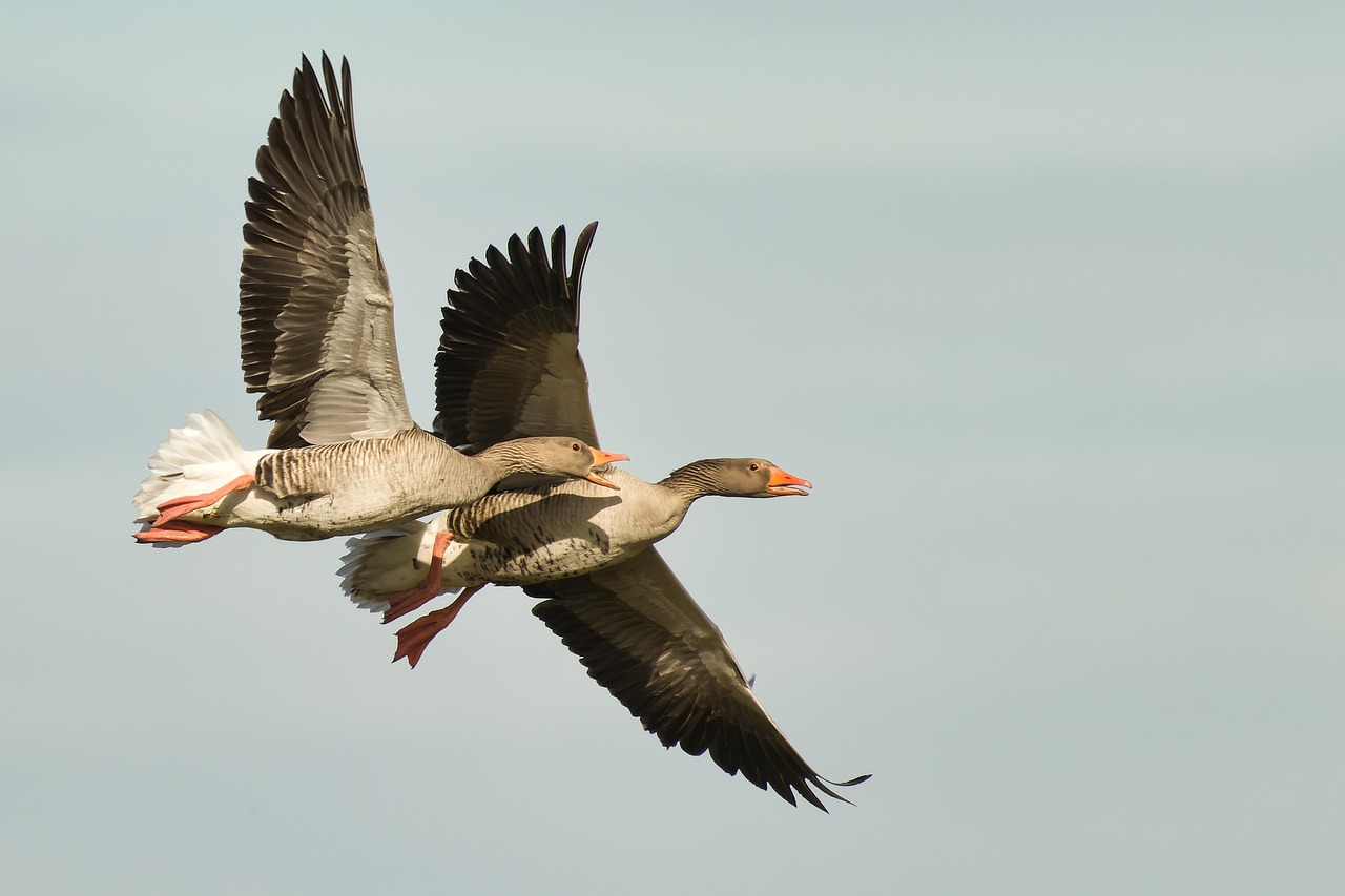 Wildlife And Nature Tours In Valdez / Unforgettable Adventures Await:…