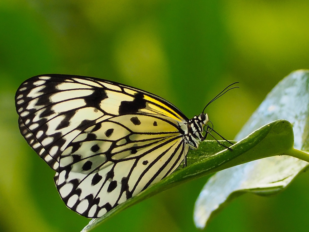 Wildlife And Nature Tours In Valdez » Unleash Your Inner…