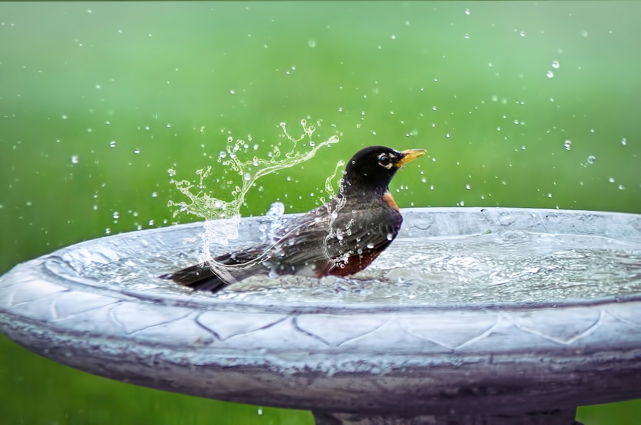 Wildlife And Nature Tours In Valdez – Unforgettable Adventures Await:…