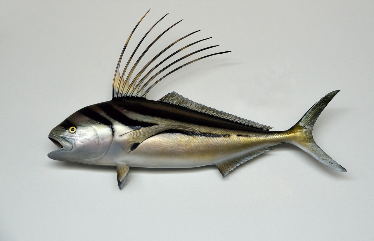 Deep-sea Fishing Valdez ~ Reel In The Adventure: Deep Sea…