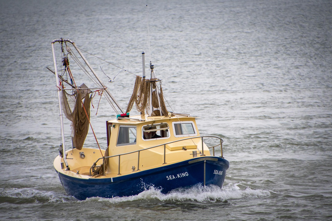 Deep-sea Fishing Valdez / Casting A Line In Alaska’s Wild…