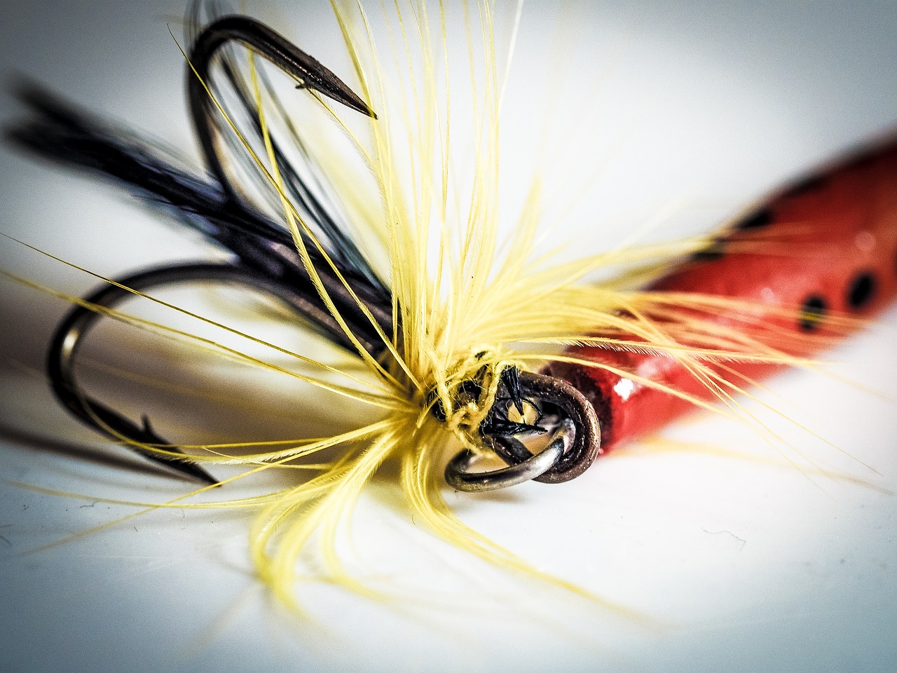 Fishing Gear And Equipment Reviews » Cast Your Line And…
