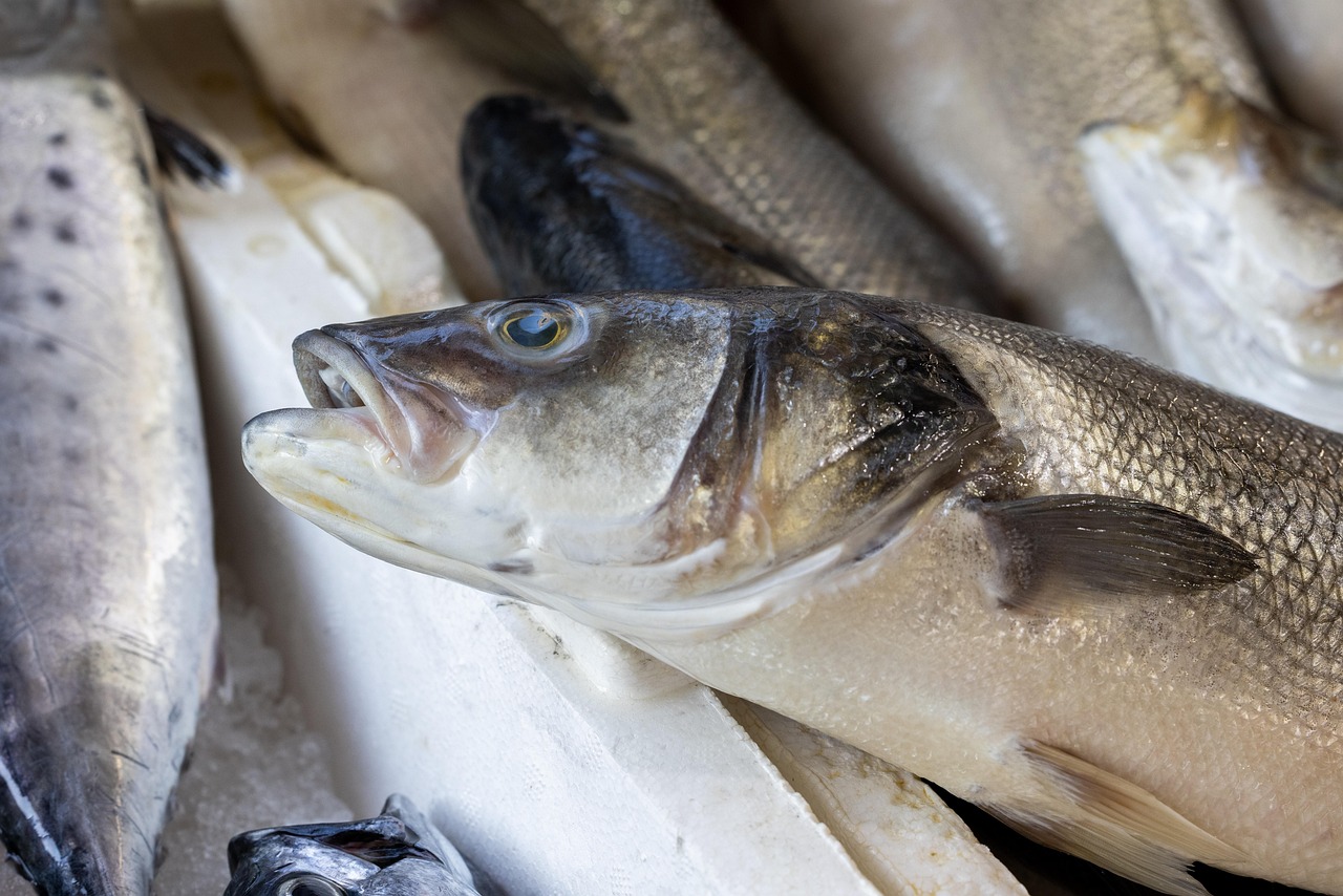 Guided Tours: Feature Various Fishing Tour Operators, Their Services, And…