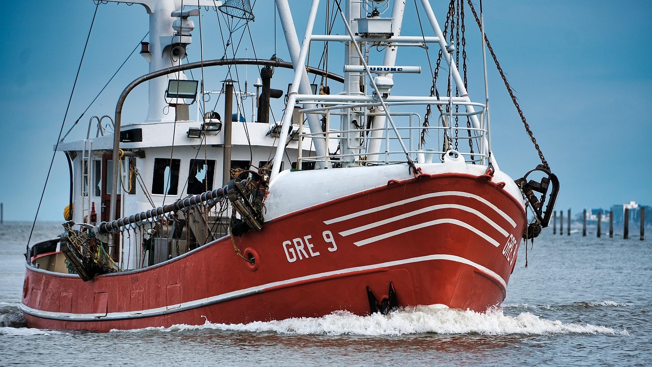 Halibut Fishing Valdez – Cast A Line In Alaska: Your…