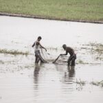 Local-Fishing-Regulations-and-Permits_and_Fishing-Techniques