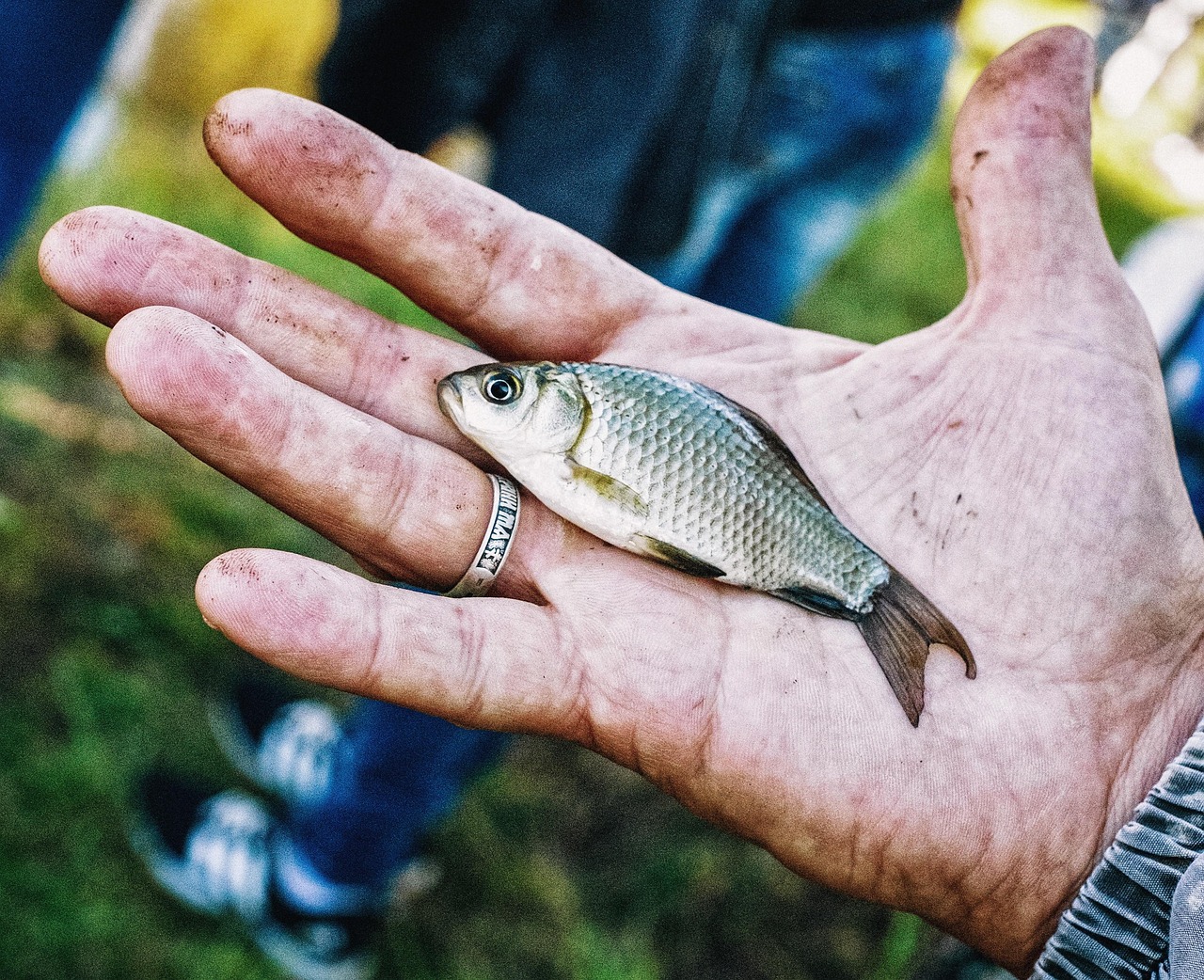 Local Regulations: Provide Information On Fishing Licenses, Permits, And Local…