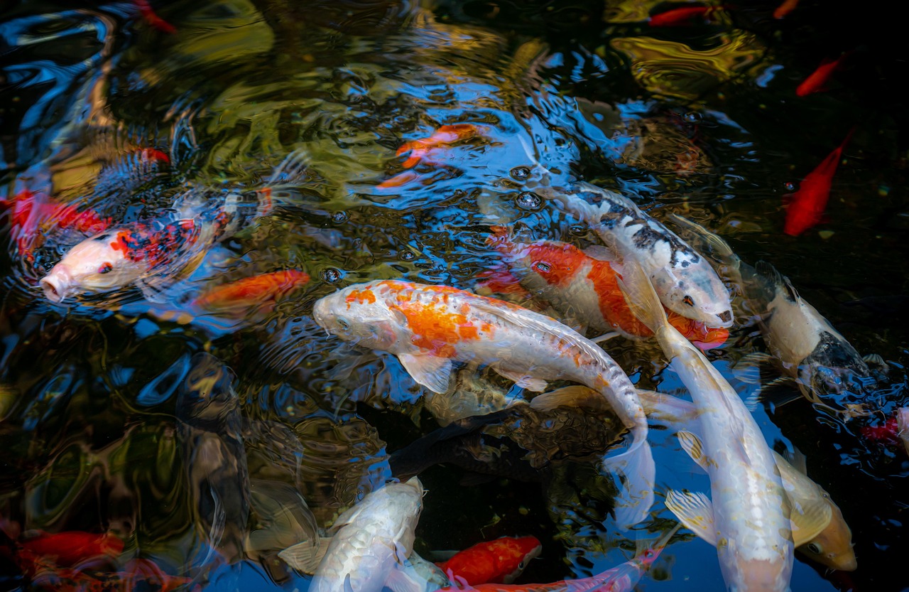 Local Regulations: Provide Information On Fishing Licenses, Permits, And Local…