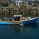 Prince-William-Sound-fishing_and_Wildlife-and-Nature