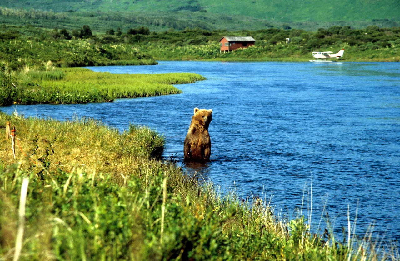 Seasonal Fishing: Discuss The Best Times Of Year For Fishing…