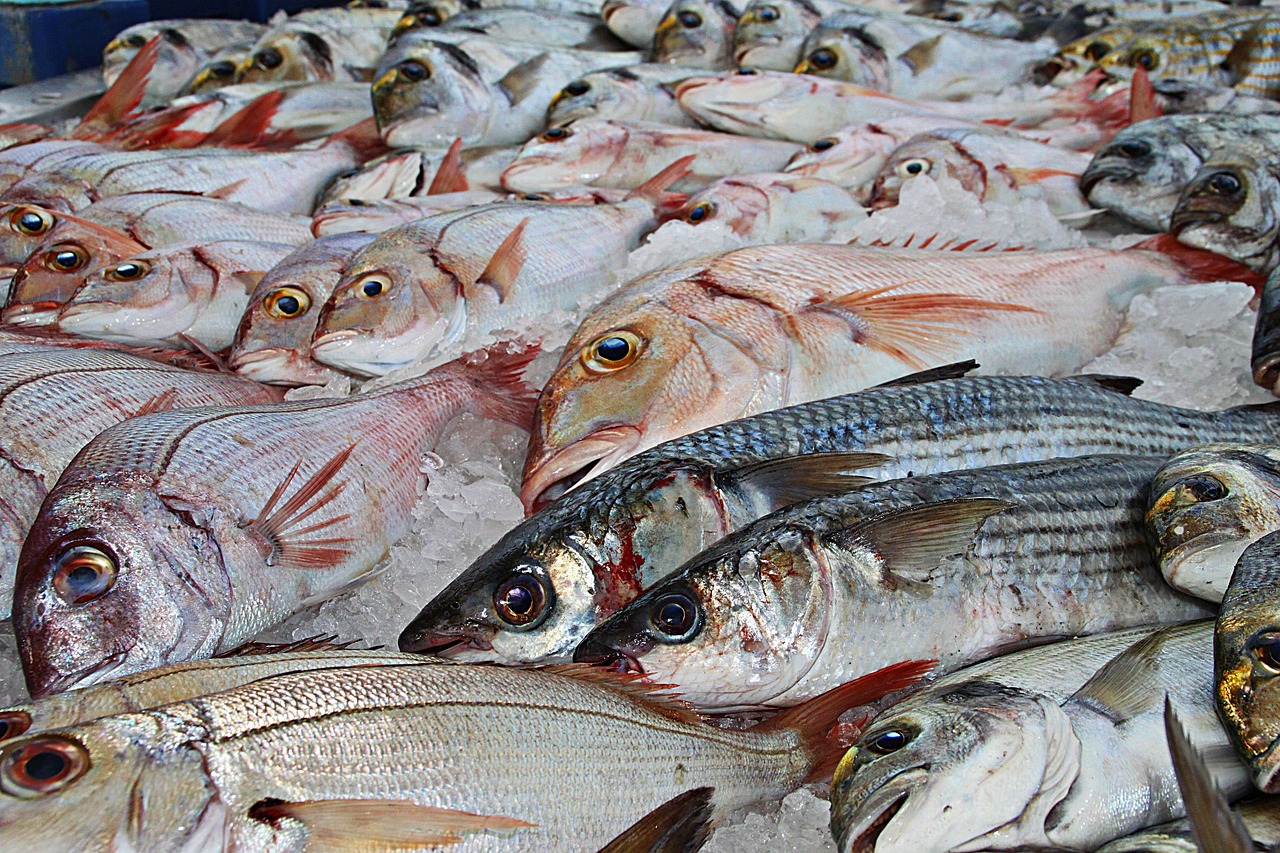 Seasonal Fishing Guide Valdez » Get Hooked On Alaska Fishing:…