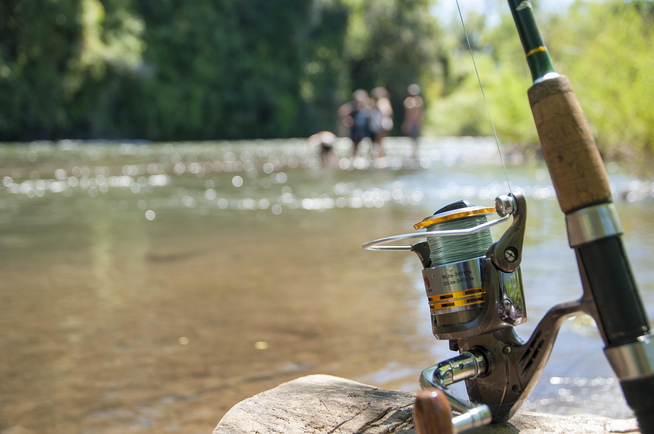 Tips For A Successful Fishing Trip In Valdez / Get…
