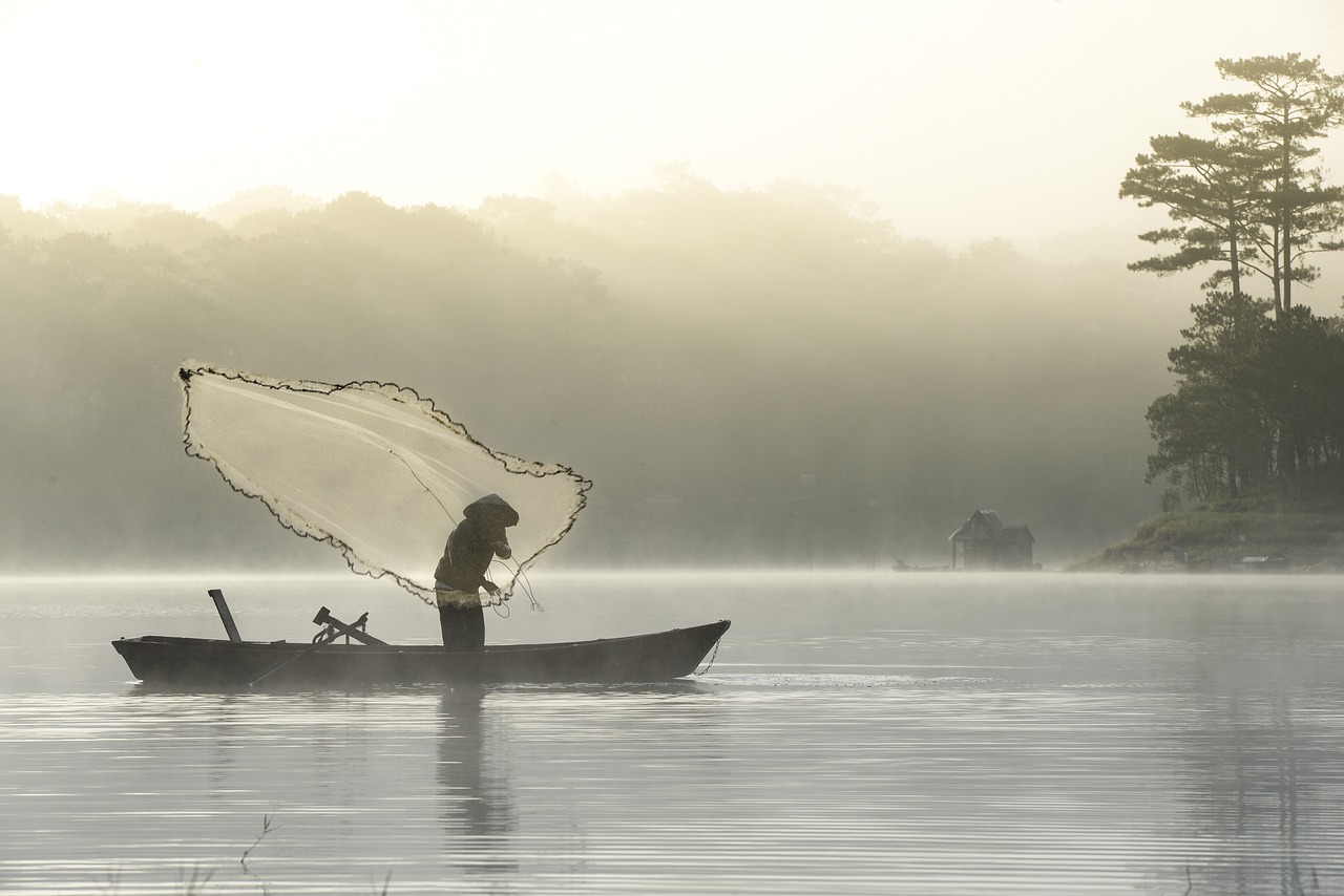 Types Of Fish: Provide Information About The Different Species Of…