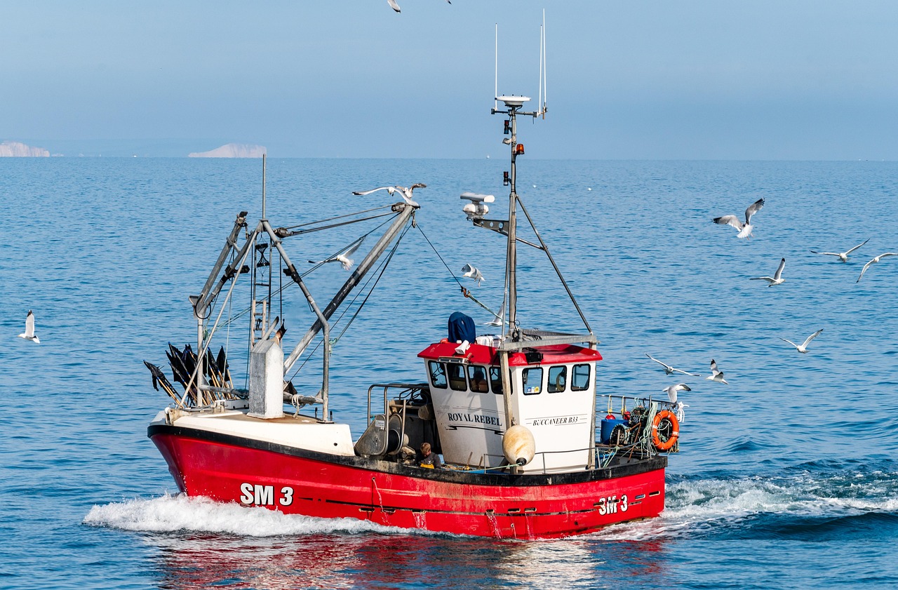 Valdez Fishing Derbies And Events: Hook, Line, And Sinker: Your…