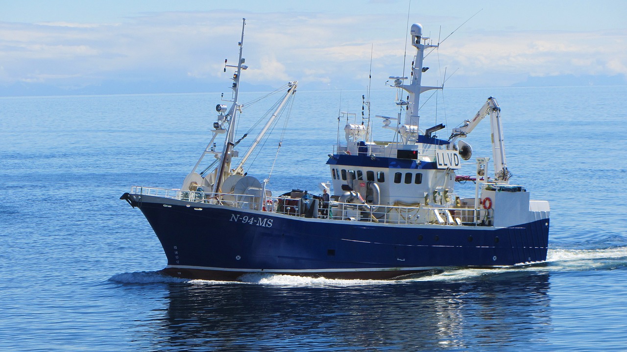 Valdez Fishing Derbies And Events / Unforgettable Adventures Await: Alaska…