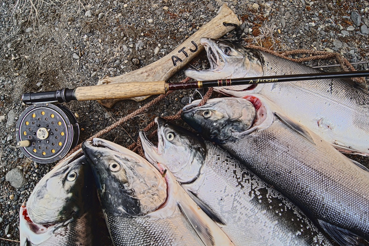 Valdez Fishing Events And Derbies / Cast Your Line And…