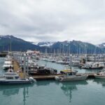 Valdez-fishing-events-and-derbies_and_Wildlife-and-Nature