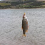 Valdez-fishing-spots_and_Accommodation-and-Lodging
