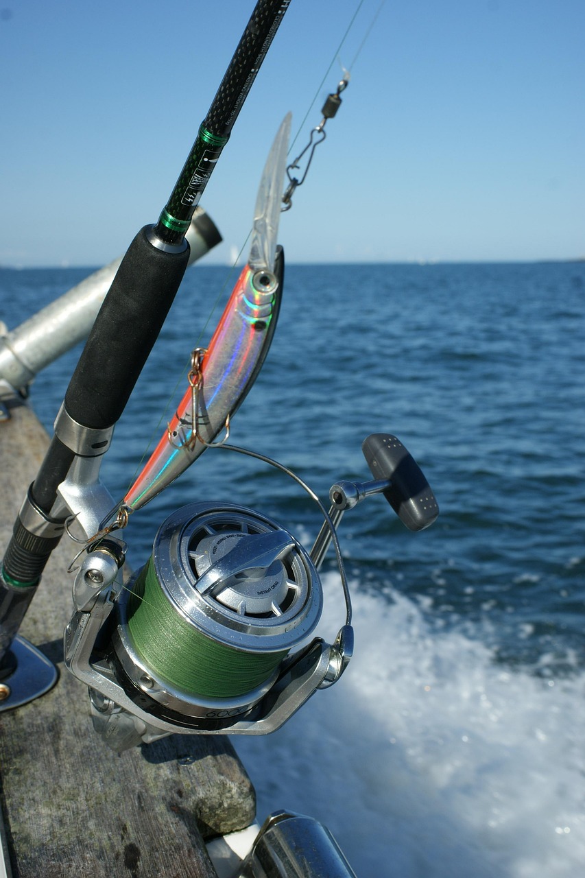 Valdez Fishing » Reel In The Adventure: Discover The Best…