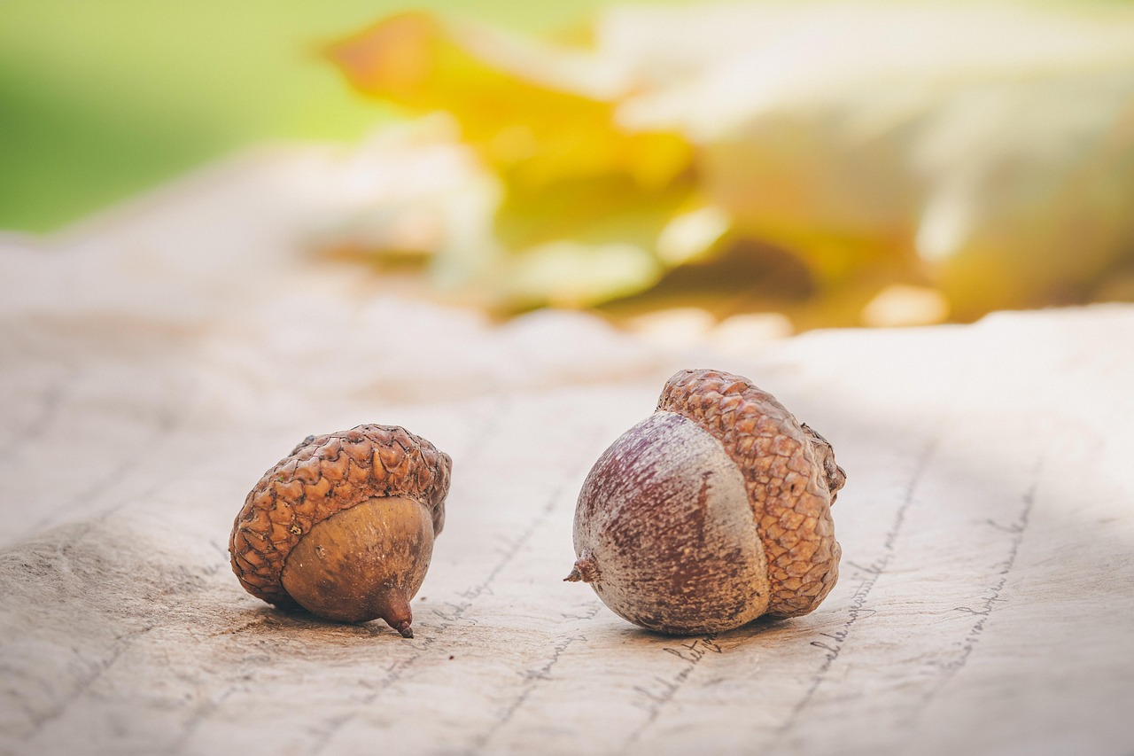 Wildlife And Nature: Highlight The Beautiful Landscapes And Wildlife That…