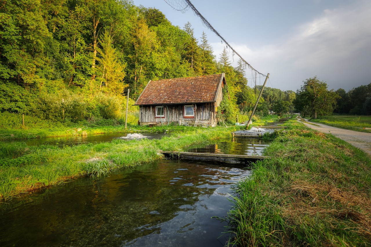 Wildlife And Nature: Highlight The Beautiful Landscapes And Wildlife That…