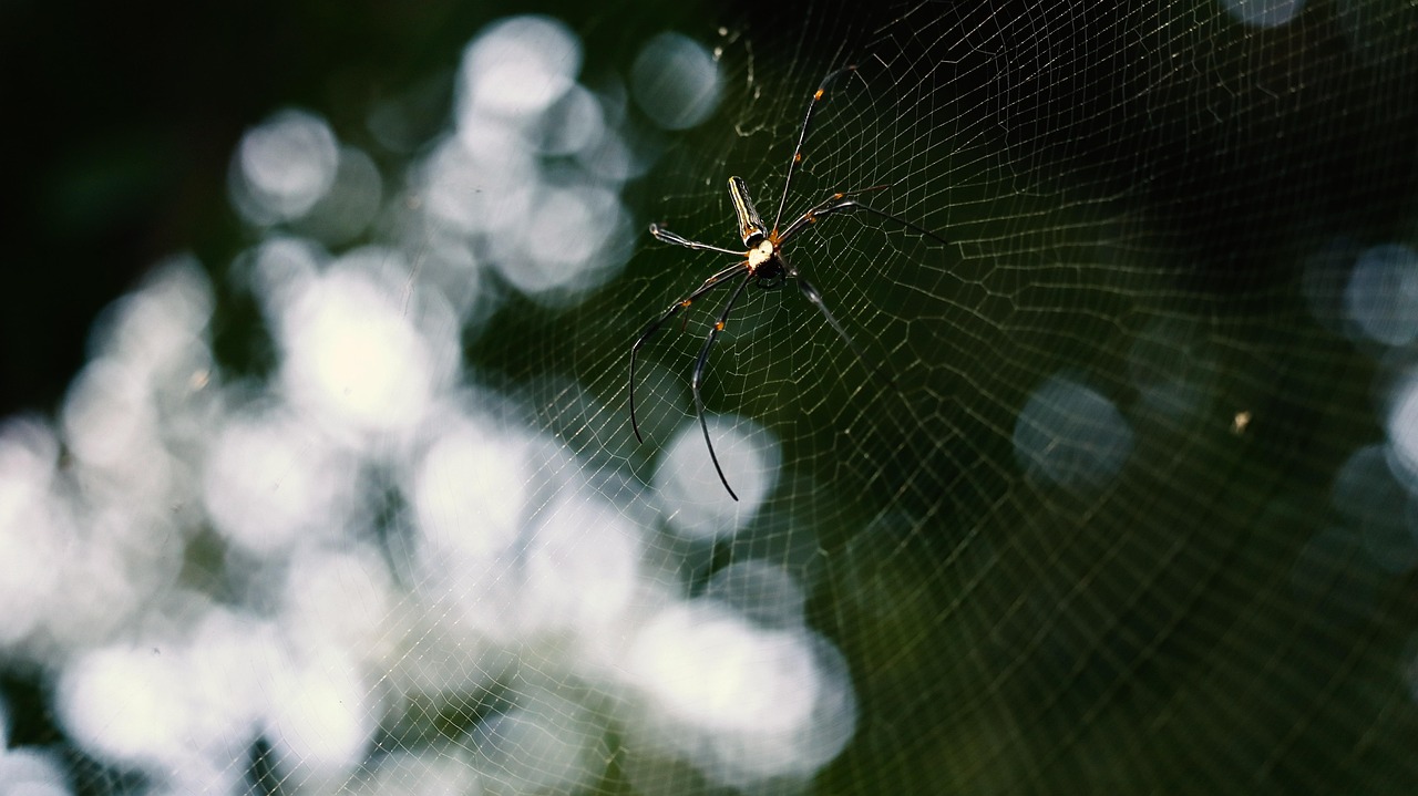 Wildlife And Nature Tours In Valdez | Get Hooked On…