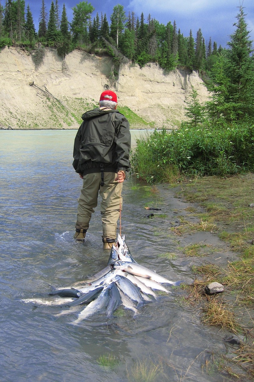 Accommodation And Lodging: Suggest Places To Stay In Valdez, From…