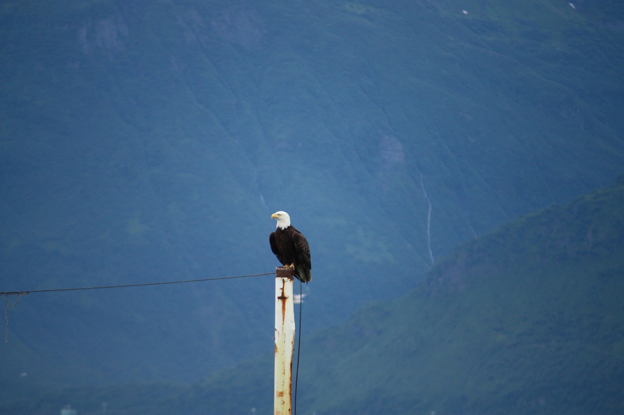 Best Times To Fish In Valdez / Casting A Line…