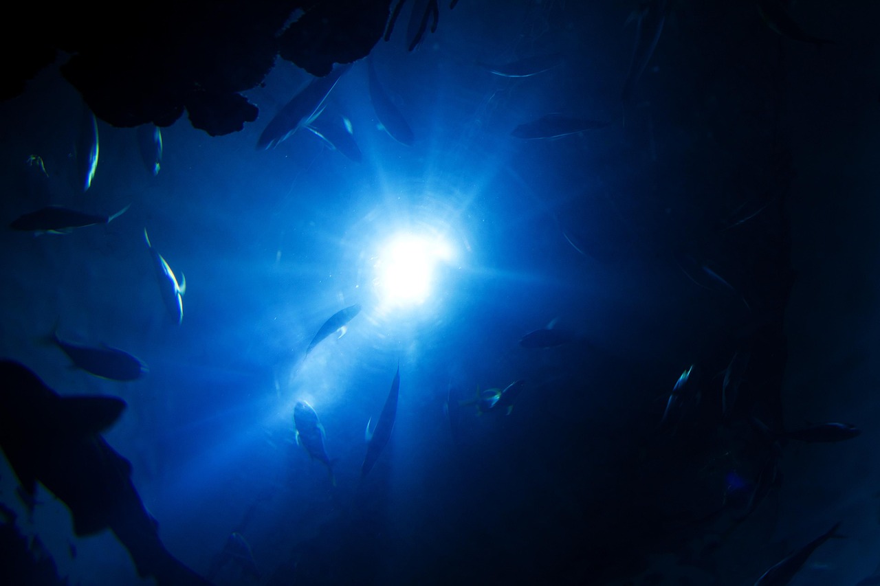 Deep-sea Fishing Valdez ~ Hook, Line, And Sink Your Toes…