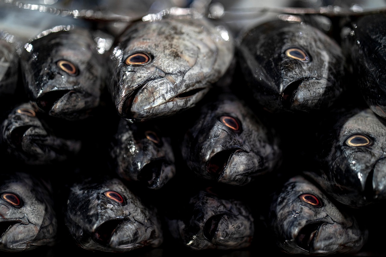 Deep-sea Fishing Valdez / Unleash Your Inner Angler: An Epic…