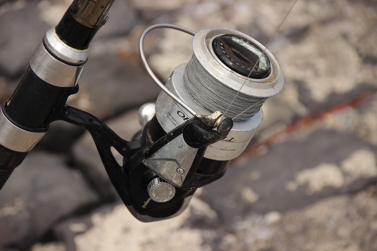 Family-friendly Fishing Tours Valdez: Cast A Line In Alaska’s Wild…