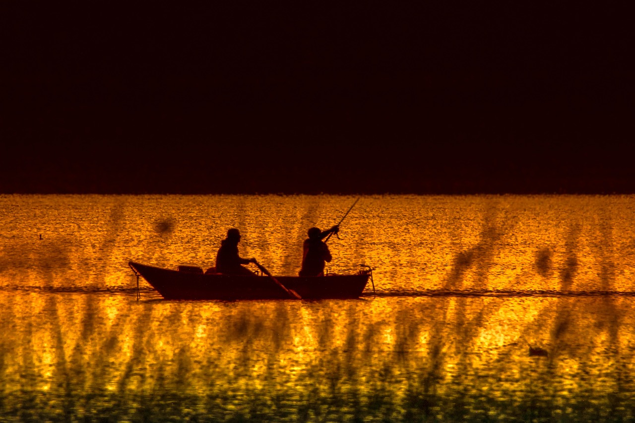 Fishing Locations: Highlight The Best Fishing Spots In And Around…