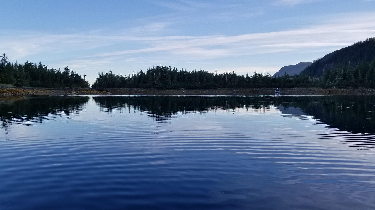 Fishing Techniques: Offer Tips And Guides On Different Fishing Methods,…