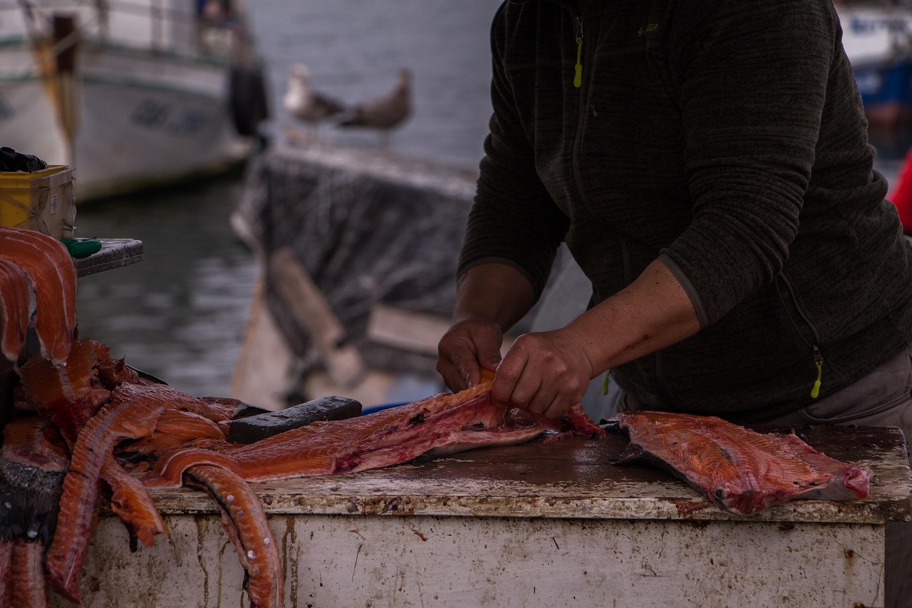 Fishing Techniques For Halibut And Salmon » Cast Your Line…